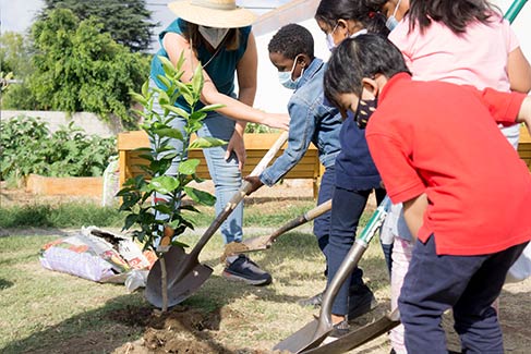 California ReLeaf grantee Food Exploration and Discovery adult volunteer teaching three children how to plant a tree.