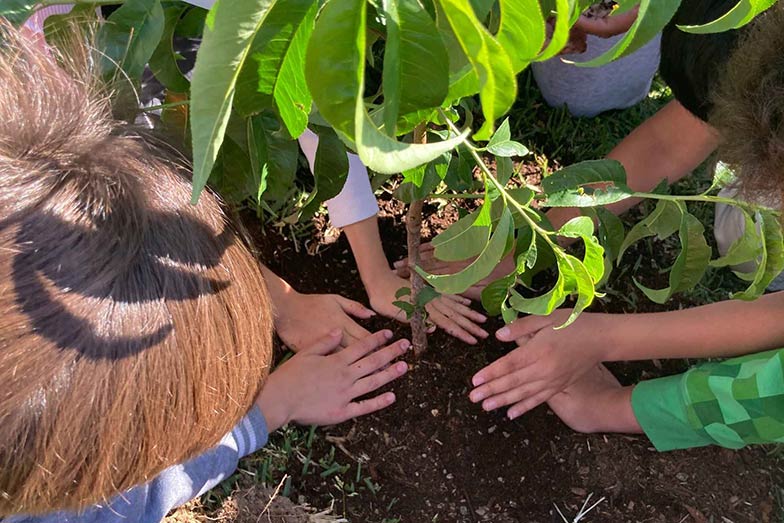 Children Planting a fruit tree as part of a California ReLeaf grant funded project