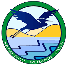 Watsonville Wetlands Watch is Hiring an Environmental Educator