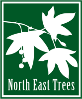 North East Trees is Hiring an Urban Forestry Manager