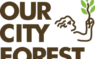 Our City Forest is Hiring Multiple Positions