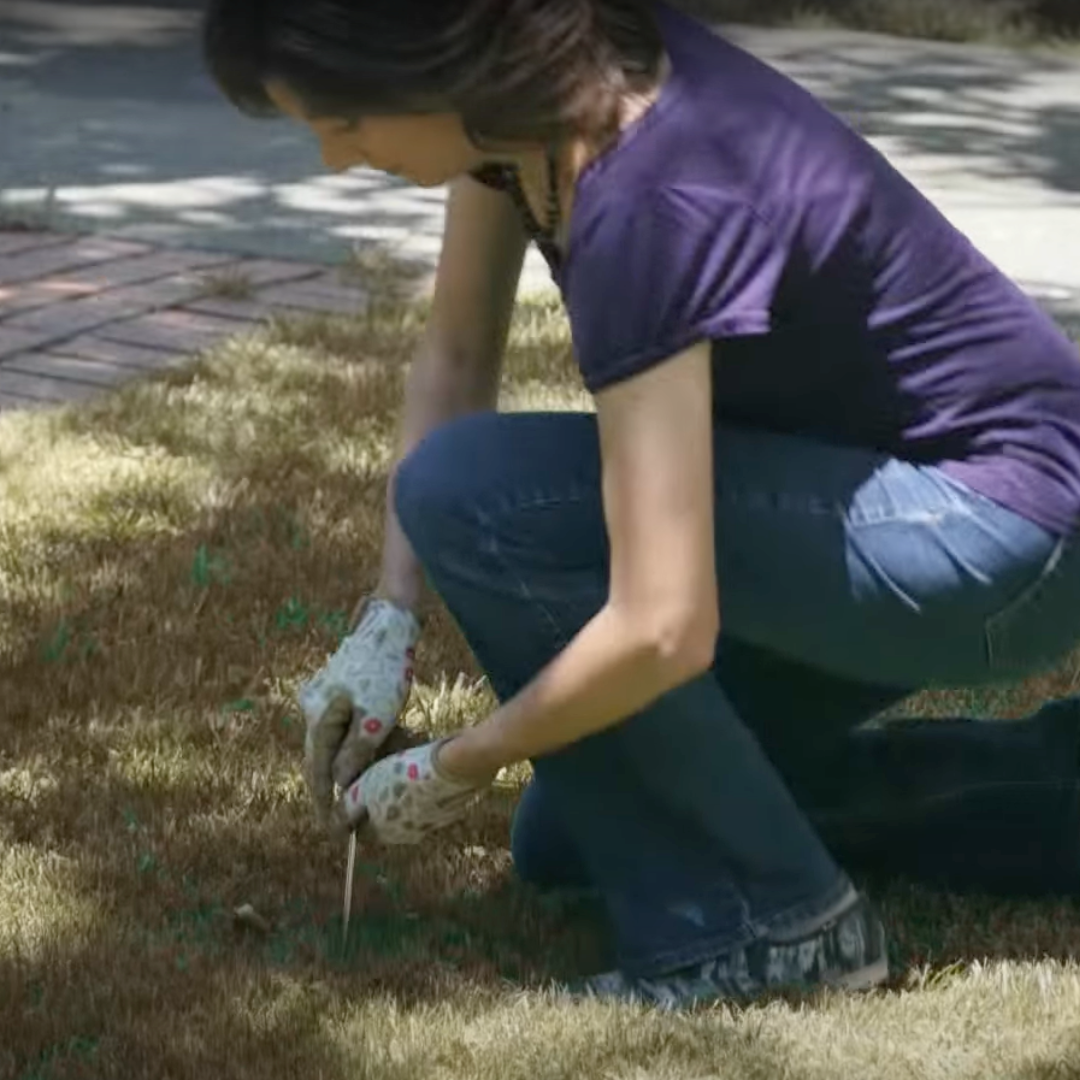 Woman kneeling down pushing a screwdriver in the ground to test moisture level of the soil below a tree.